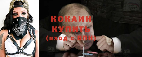 дмт Пестово