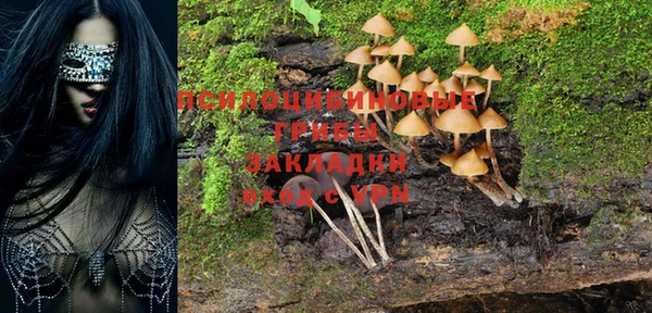 спиды Переславль-Залесский