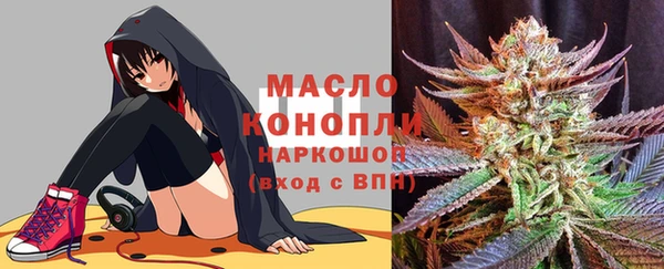 дмт Пестово