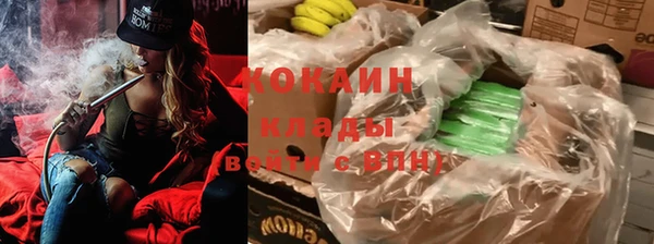 дмт Пестово