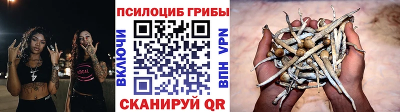 Галлюциногенные грибы Magic Shrooms как найти Ермолино