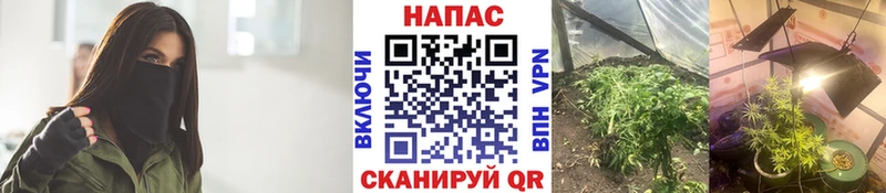 KRAKEN сайт  как найти   Ермолино  маркетплейс наркотические препараты  Канабис семена 